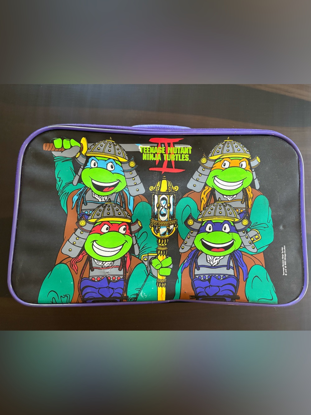 Vintage 1993 Teenage Mutant Ninja Turtles Suitcase